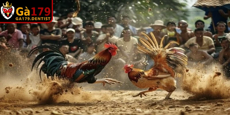 Cách tính Tiền đi - Tiền về là thuật ngữ dùng để chỉ sự luân chuyển