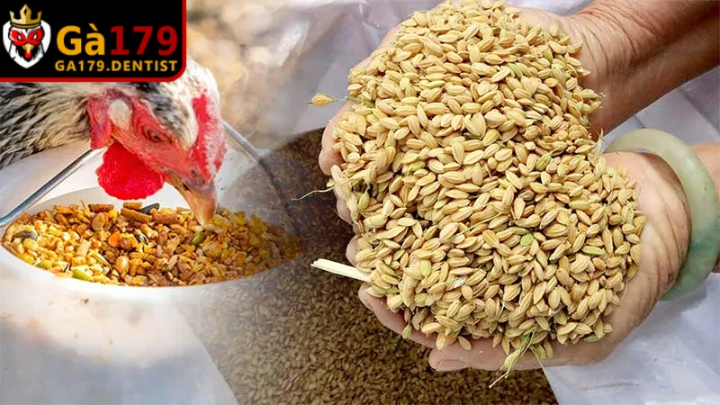Kết hợp chế độ dinh dưỡng hợp lý là yếu tố không thể thiếu 