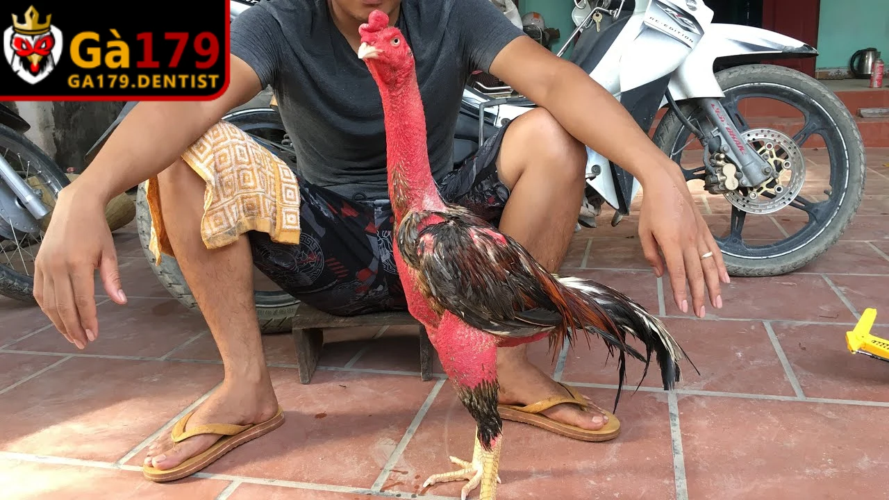 Xoa bóp là bước quan trọng giúp tăng độ cứng và độ bền của cơ chân