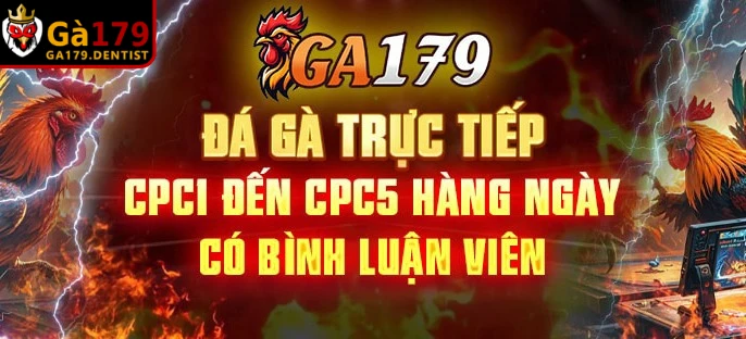 Mức độ ổn định trong quá trình sử dụng dịch vụ tại nền tảng