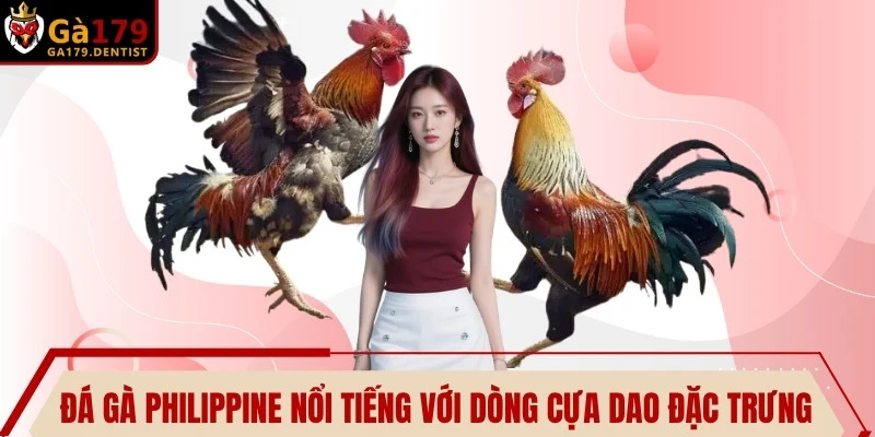 Đá gà Philippine nổi tiếng với dòng cựa dao đặc trưng nhất