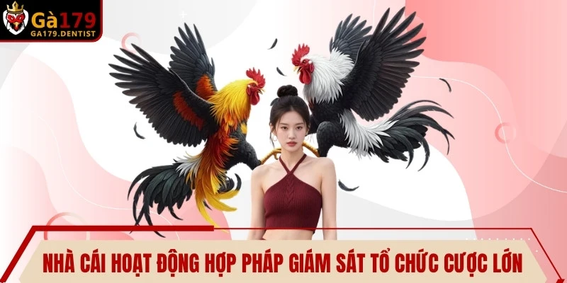 Nhà cái hoạt động hợp pháp dưới sự giám sát tổ chức cược lớn