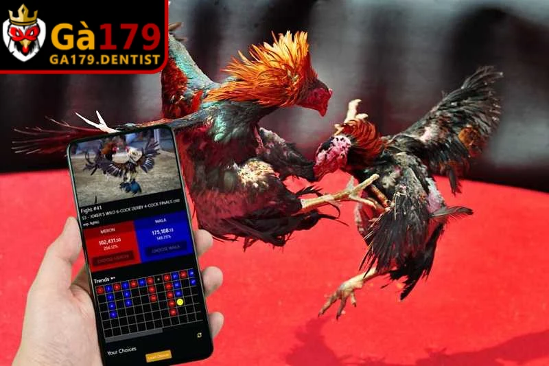 Người dùng nên lưu lại link truy cập chính xác ngay từ lần sử dụng đầu tiên